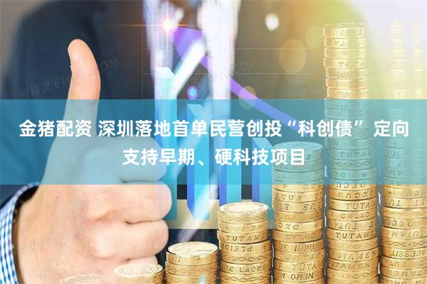 金猪配资 深圳落地首单民营创投“科创债” 定向支持早期、硬科技项目